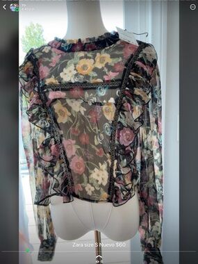 Zara Black Sheer Floral Ruffle-Trim Long Sleeve Blouse